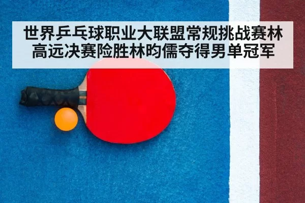 table tennis racket